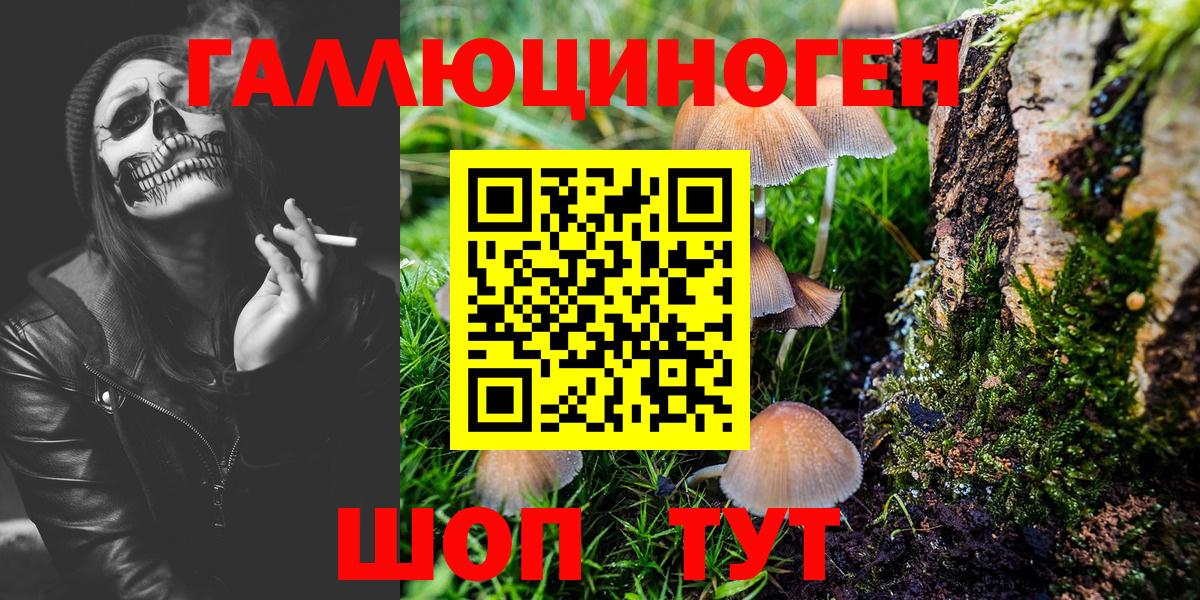 Псилоцибиновые грибы Psilocybine cubensis Искитим